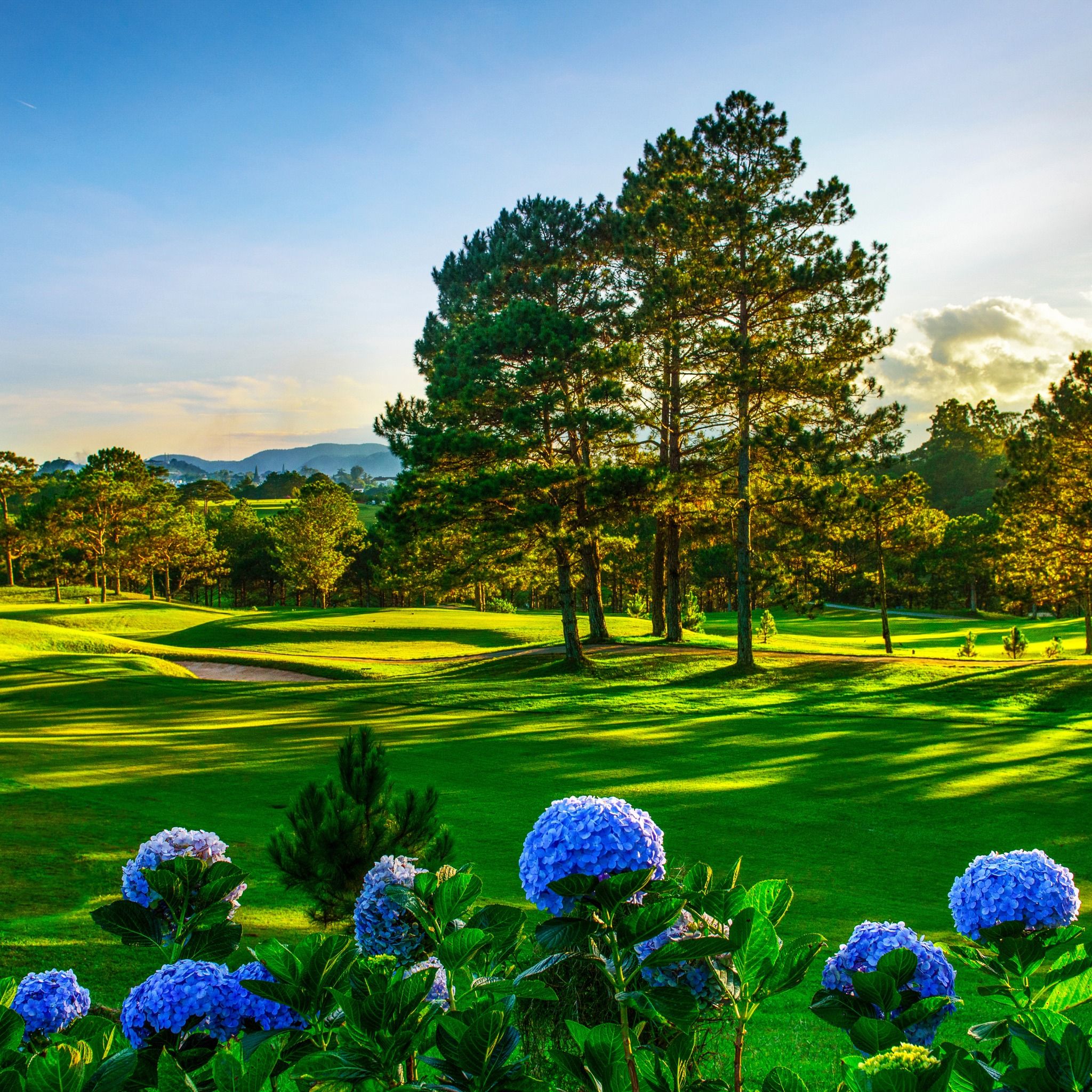 Destination Background