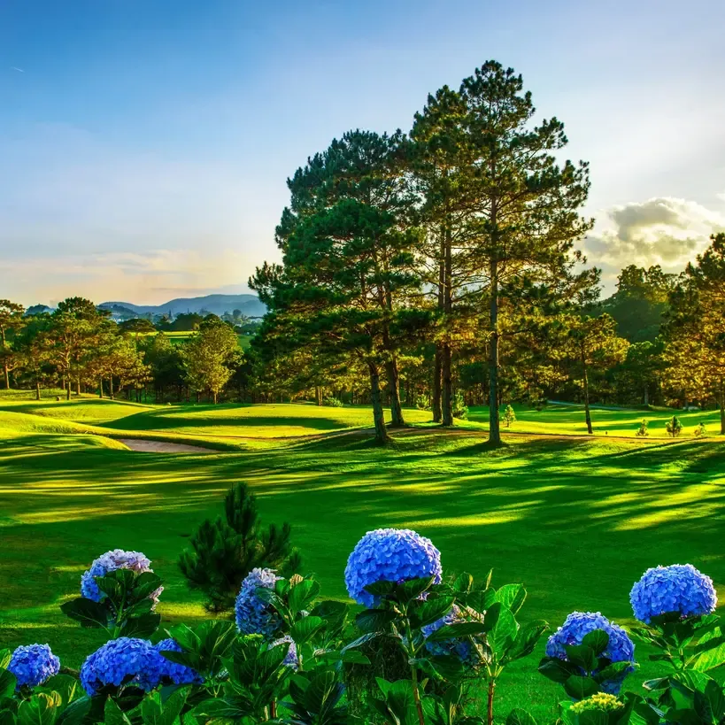 Destination Background